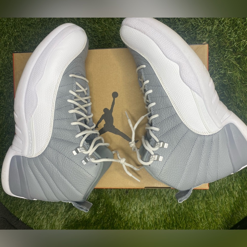 Jordan 12 stealth